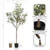 imageKate and Laurel Eudora Modern Faux Eucalyptus Tree 6 FT Potted Artificial Tree Indoor with Realistic Foliage and Additional Decorative Moss Fake Plant for Living Room Decor5ft 11in
