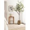 imageKate and Laurel Eudora Modern Faux Eucalyptus Tree 6 FT Potted Artificial Tree Indoor with Realistic Foliage and Additional Decorative Moss Fake Plant for Living Room Decor5ft 11in
