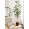 imageKate and Laurel Eudora Modern Faux Eucalyptus Tree 6 FT Potted Artificial Tree Indoor with Realistic Foliage and Additional Decorative Moss Fake Plant for Living Room Decor7ft 10in