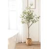 imageKate and Laurel Eudora Modern Faux Eucalyptus Tree 6 FT Potted Artificial Tree Indoor with Realistic Foliage and Additional Decorative Moss Fake Plant for Living Room Decor5ft 11in