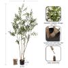 imageKate and Laurel Oliveira Modern Faux Olive Tree 7 FT Potted Artificial Olive Plant Tree Indoor with Realistic Foliage and Additional Decorative Moss Fake Plant for Living Room Decor6ft 11in