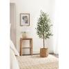 imageKate and Laurel Oliveira Modern Faux Olive Tree 7 FT Potted Artificial Olive Plant Tree Indoor with Realistic Foliage and Additional Decorative Moss Fake Plant for Living Room Decor4ft 11in