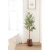 imageKate and Laurel Oliveira Modern Faux Olive Tree 7 FT Potted Artificial Olive Plant Tree Indoor with Realistic Foliage and Additional Decorative Moss Fake Plant for Living Room Decor4ft 11in