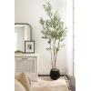 imageKate and Laurel Oliveira Modern Faux Olive Tree 7 FT Potted Artificial Olive Plant Tree Indoor with Realistic Foliage and Additional Decorative Moss Fake Plant for Living Room Decor6ft 11in
