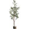 imageKate and Laurel Eudora Modern Faux Eucalyptus Tree 6 FT Potted Artificial Tree Indoor with Realistic Foliage and Additional Decorative Moss Fake Plant for Living Room Decor7ft 10in
