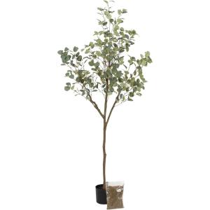 imageKate and Laurel Eudora Modern Faux Eucalyptus Tree 6 FT Potted Artificial Tree Indoor with Realistic Foliage and Additional Decorative Moss Fake Plant for Living Room Decor5ft 11in