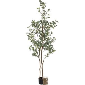 imageKate and Laurel Eudora Modern Faux Eucalyptus Tree 6 FT Potted Artificial Tree Indoor with Realistic Foliage and Additional Decorative Moss Fake Plant for Living Room Decor7ft 10in