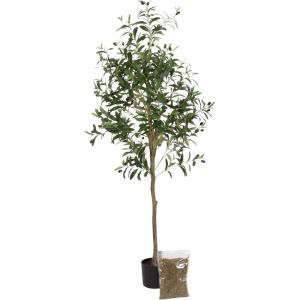 imageKate and Laurel Oliveira Modern Faux Olive Tree 7 FT Potted Artificial Olive Plant Tree Indoor with Realistic Foliage and Additional Decorative Moss Fake Plant for Living Room Decor4ft 11in