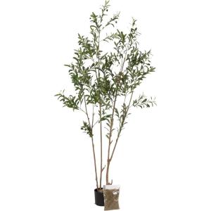 imageKate and Laurel Oliveira Modern Faux Olive Tree 7 FT Potted Artificial Olive Plant Tree Indoor with Realistic Foliage and Additional Decorative Moss Fake Plant for Living Room Decor6ft 11in