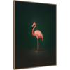imageKate and Laurel Framed Canvas Wall Art Print Flamingo Side View Rich Green Backdrop by The Creative Bunch Studio 18 x 24 Sylvie Beaded Black Frame Modern Contemporary Animal Art for Wall DecorSylvie Beaded Dark Gold