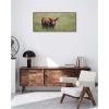 imageKate and Laurel Framed Canvas Wall Art Print Highland Cow I by Laura Evans 40 x 18 Sylvie Walnut Frame Rustic Farmhouse Animal Art for Wall Decor
