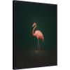 imageKate and Laurel Framed Canvas Wall Art Print Flamingo Side View Rich Green Backdrop by The Creative Bunch Studio 18 x 24 Sylvie Beaded Black Frame Modern Contemporary Animal Art for Wall DecorSylvie Beaded Black