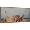 imageKate and Laurel Framed Canvas Wall Art Print Highland Cow IX Close Panel by Laura Evans 40 x 18 Sylvie Dark Gold Frame Rustic Farmhouse Animal Art for Wall DecorSylvie Walnut