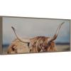 imageKate and Laurel Framed Canvas Wall Art Print Highland Cow IX Close Panel by Laura Evans 40 x 18 Sylvie Dark Gold Frame Rustic Farmhouse Animal Art for Wall DecorSylvie Dark Gold