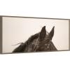 imageKate and Laurel Framed Canvas Wall Art Print Horse Ears Panel by Crystal Lynn Collins 40 x 18 Sylvie Beaded Dark Gold Frame Rustic Farmhouse Animal Art for Wall DecorSylvie Walnut