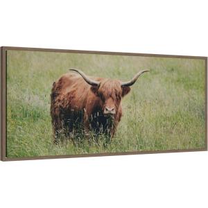 imageKate and Laurel Framed Canvas Wall Art Print Highland Cow I by Laura Evans 40 x 18 Sylvie Walnut Frame Rustic Farmhouse Animal Art for Wall Decor
