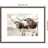 image:imageKate and Laurel Framed Wall Art Print Sepia Texas Longhorn Cattle in Pasture by The Creative Bunch Studio 26 x 22 Florence Medium Brown Frame Rustic Farmhouse Animal Art for Wall DecorFlorence Medium Brown