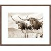 image:imageKate and Laurel Framed Wall Art Print Sepia Texas Longhorn Cattle in Pasture by The Creative Bunch Studio 26 x 22 Florence Medium Brown Frame Rustic Farmhouse Animal Art for Wall DecorFlorence Medium Brown