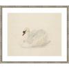 image:imageKate and Laurel Framed Wall Art Print Knobbelzwaan 1792 Aert Schouman by Nostalgia Prints 25 x 21 Belvedere Silver Frame Traditional Animal Art for Wall Decor