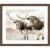image:imageKate and Laurel Framed Wall Art Print Sepia Texas Longhorn Cattle in Pasture by The Creative Bunch Studio 26 x 22 Florence Medium Brown Frame Rustic Farmhouse Animal Art for Wall DecorFlorence Medium Brown
