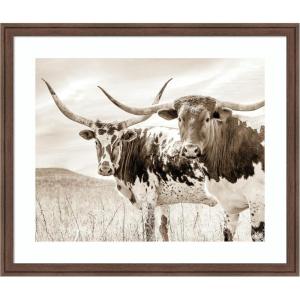 image:imageKate and Laurel Framed Wall Art Print Sepia Texas Longhorn Cattle in Pasture by The Creative Bunch Studio 26 x 22 Florence Medium Brown Frame Rustic Farmhouse Animal Art for Wall DecorFlorence Medium Brown