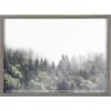 image:imageKate and Laurel Blake Lush Green Forest on a Foggy Day Framed Printed Glass Wall Art by The Creative Bunch Studio 18 x 24 Natural Decorative Forest Landscape Art Print for WallGray