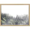 image:imageKate and Laurel Blake Lush Green Forest on a Foggy Day Framed Printed Glass Wall Art by The Creative Bunch Studio 18 x 24 Natural Decorative Forest Landscape Art Print for WallNatural