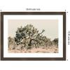 image:imageKate and Laurel Framed Wall Art Print Joshua Tree No 1 by Alicia Bock 26 x 19 Woodgrain Stripe Chocolate Frame Rustic Farmhouse Landscape Art for Wall DecorWoodgrain Stripe Chocolate