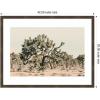 image:imageKate and Laurel Framed Wall Art Print Joshua Tree No 1 by Alicia Bock 26 x 19 Woodgrain Stripe Chocolate Frame Rustic Farmhouse Landscape Art for Wall DecorWoodgrain Stripe Chocolate