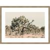 image:imageKate and Laurel Framed Wall Art Print Joshua Tree No 1 by Alicia Bock 26 x 19 Woodgrain Stripe Chocolate Frame Rustic Farmhouse Landscape Art for Wall DecorWoodgrain Stripe Mocha