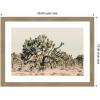 image:imageKate and Laurel Framed Wall Art Print Joshua Tree No 1 by Alicia Bock 26 x 19 Woodgrain Stripe Chocolate Frame Rustic Farmhouse Landscape Art for Wall DecorWoodgrain Stripe Mocha
