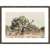 image:imageKate and Laurel Framed Wall Art Print Joshua Tree No 1 by Alicia Bock 26 x 19 Woodgrain Stripe Chocolate Frame Rustic Farmhouse Landscape Art for Wall DecorWoodgrain Stripe Chocolate