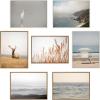 image:imageKate and Laurel Sylvie Marsh Grass No 8 Framed Canvas Wall Art by Crystal Lynn Collins 23x33 White Rustic Grassy Natural Landscape Art for WallWhite