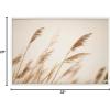 image:imageKate and Laurel Sylvie Marsh Grass No 8 Framed Canvas Wall Art by Crystal Lynn Collins 23x33 White Rustic Grassy Natural Landscape Art for WallWhite