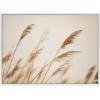 image:imageKate and Laurel Sylvie Marsh Grass No 8 Framed Canvas Wall Art by Crystal Lynn Collins 23x33 White Rustic Grassy Natural Landscape Art for WallWhite