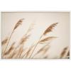 image:imageKate and Laurel Sylvie Marsh Grass No 8 Framed Canvas Wall Art by Crystal Lynn Collins 23x33 White Rustic Grassy Natural Landscape Art for WallWhite