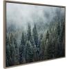 image:imageKate and Laurel Sylvie Evergreen Dream 2 Framed Canvas Wall Art by Emiko and Mark Franzen of F2Images 315x415 Gray Forest Trees Art for WallGray