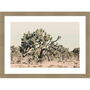 image:imageKate and Laurel Framed Wall Art Print Joshua Tree No 1 by Alicia Bock 26 x 19 Woodgrain Stripe Chocolate Frame Rustic Farmhouse Landscape Art for Wall DecorWoodgrain Stripe Mocha