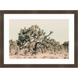 image:imageKate and Laurel Framed Wall Art Print Joshua Tree No 1 by Alicia Bock 26 x 19 Woodgrain Stripe Chocolate Frame Rustic Farmhouse Landscape Art for Wall DecorWoodgrain Stripe Chocolate