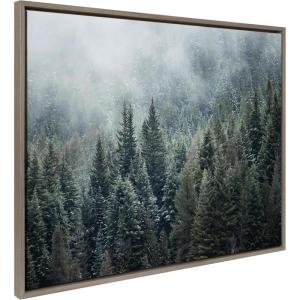 image:imageKate and Laurel Sylvie Evergreen Dream 2 Framed Canvas Wall Art by Emiko and Mark Franzen of F2Images 315x415 Gray Forest Trees Art for WallGray