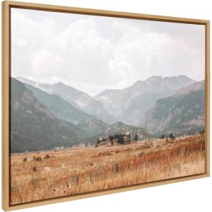image:imageKate and Laurel Sylvie Wanderings Framed Canvas Wall Art by Alicia Abla 28x38 Natural Modern Natural Prairie Landscape ArtNatural