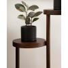 image:imageKate and Laurel Fitley Modern ThreeTier Freestanding Plant Stand 16 x 16 x 35 Dark Brown Decorative Tiered Mango Wood Plant Stand for Useful House Plant Decor