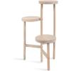 image:imageKate and Laurel Fitley Modern ThreeTier Freestanding Plant Stand 16 x 16 x 35 Whitewash Decorative Tiered Mango Wood Plant Stand for Useful House Plant Decor