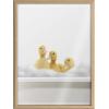 image:imageKate and Laurel Blake Bathroom Bubble Bath 3 Ducks Framed Printed Glass Wall Art by The Creative Bunch Studio 18x24 Natural Adorable Baby Animal Art for Wall