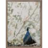 image:imageKate and Laurel Blake Peacock Framed Printed Glass Wall Art by Alicia Abla 18x24 Gold Decorative Bird Art for Wall