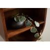 image:imageKate and Laurel Hutton Modern Tall Capsule Wall Shelf 13 x 33 Walnut Brown Slim Round Oval Wall Shelves for Above Toilet Bathroom Storage or Cute Nursery Shelving