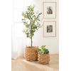 image:imageKate and Laurel Livia Modern TwoPiece Woven Basket Set 16 x 16 and 13 x 13 Natural Water Hyacinth Transitional Natural Wicker Baskets for Use as Woven Planters or Living Room Blanket BasketsNatural