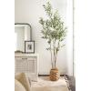 image:imageKate and Laurel Livia Modern Woven Storage Basket 13 x 13 Natural Water Hyacinth Boho Wicker Basket for Use as Nursery Storage Mini Laundry Basket or Living Room Blanket Basket