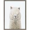 image:imageKate and Laurel Sylvie Alpaca Fluff Framed Canvas Wall Art by Amy Peterson Art Studio 18x40 Gray Decorative Animal Art for WallGray