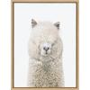 image:imageKate and Laurel Sylvie Alpaca Fluff Framed Canvas Wall Art by Amy Peterson Art Studio 18x40 Gray Decorative Animal Art for WallNatural